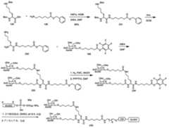 Figure 0007429103000440