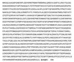 Figure 2022153375000016