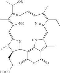 Figure US07053210-20060530-C00007