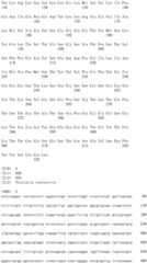 Figure IDA0003176636410000031