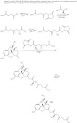 Figure US10226456-20190312-C00565