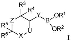 Figure imgf000003_0002