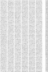 Figure IDA0002536600790000711