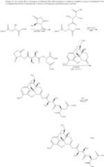 Figure US10226456-20190312-C00749