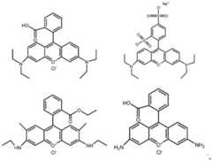 Figure FDA0003954737100000012