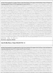 Figure imgf000041_0001