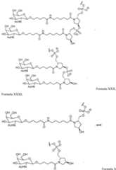 Figure imgf000130_0001
