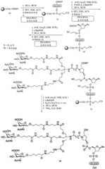 Figure BDA0003018192690002761