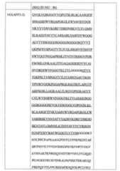 Figure 108144714-A0101-12-0083-356