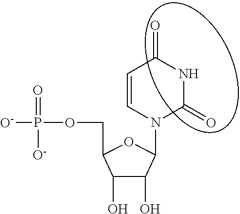 Figure US08754062-20140617-C00088