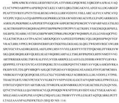 Figure imgf000163_0001