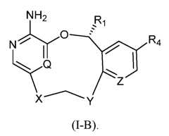 Figure imgf000029_0002