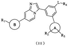 Figure PCTCN2019130053-appb-100001