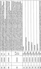 Figure BPA0000256061330002021