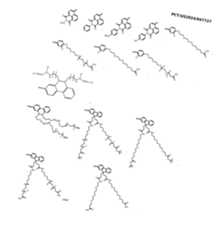 Figure imgf000079_0001