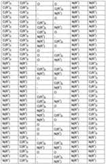 Figure imgf000029_0001