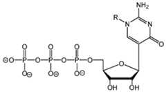 Figure imgf000207_0002