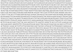 Figure PCTCN2022073808-appb-000126