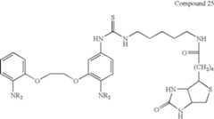 Figure US07102005-20060905-C00035