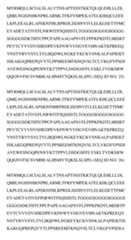 Figure imgf000057_0001