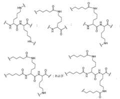 Figure 2023012548000533