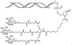 Figure imgf000086_0003