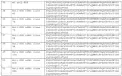 Figure imgf000026_0001