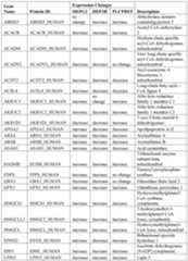 Figure imgf000107_0001