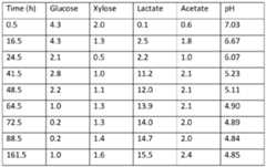 Figure imgf000076_0002