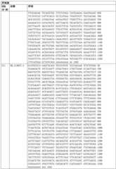 Figure BDA0003164346480001881