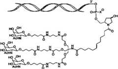 Figure imgf000007_0002