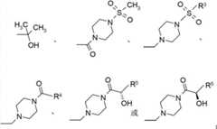 Figure BDA00001715781500021