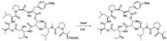 Figure imgf000165_0001