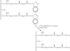 Figure US06306665-20011023-C00011