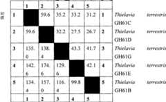 Figure A20058001073001011