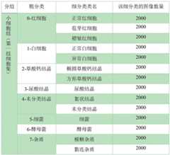 Figure GDA0002799618030000073