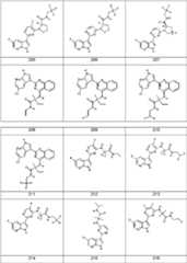 Figure FDA0000106649170000261