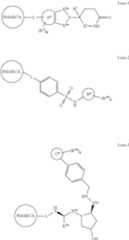 Figure US11679109-20230620-C00565