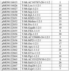 Figure BDA0003859342180000301