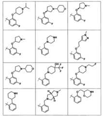 Figure imgf000011_0001