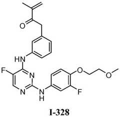 Figure BDA0001453135130003251