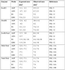 Figure imgf000035_0001