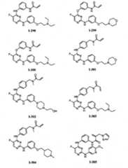 Figure BPA00001280125600781