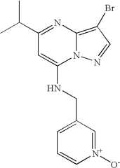 Figure US07119200-20061010-C01219