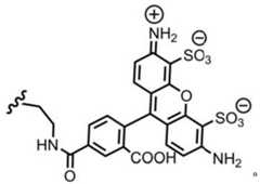 Figure BDA0003670511740000922