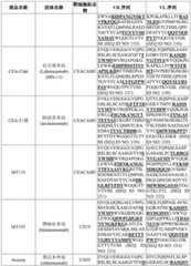 Figure BDA0003627552160001561