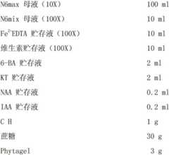 Figure BDA00003554875900101