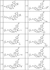 Figure JPOXMLDOC01-appb-T000123