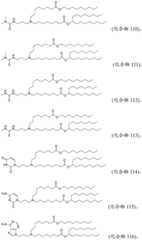 Figure BDA0001702061020001341