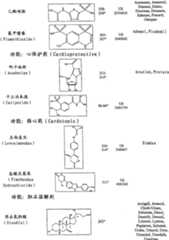 Figure A20068004619500781